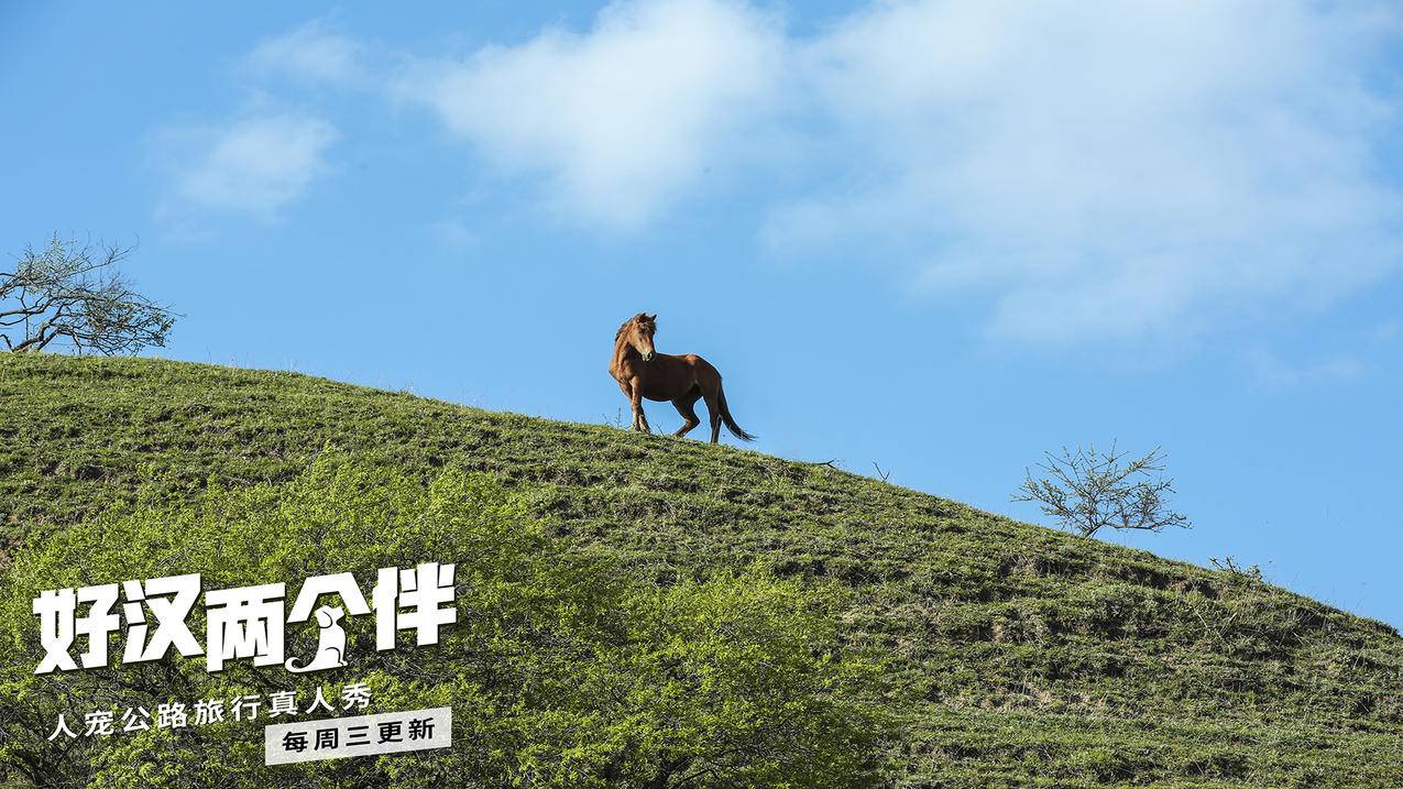 网红商城